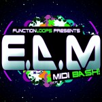 EDM midi bash